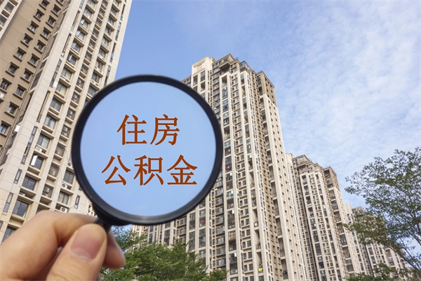 任丘辞职多久公积金可以全部取出来吗（辞职之后公积金多长时间可以取）